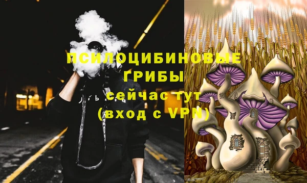 винт Снежногорск