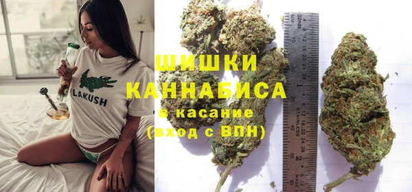 spice Абаза
