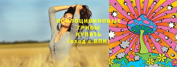 винт Снежногорск