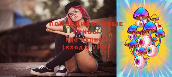 ПСИЛОЦИБИНОВЫЕ ГРИБЫ Слюдянка