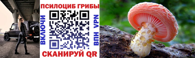 Псилоцибиновые грибы Cubensis  Анадырь 